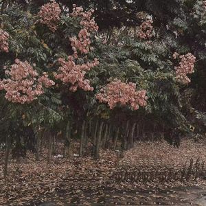 用力⋯别停⋯受不了
